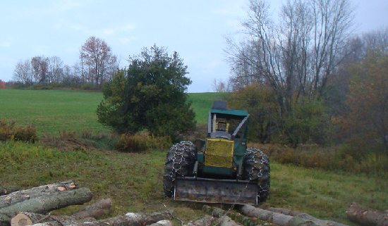 LOGGING LANDING SITE